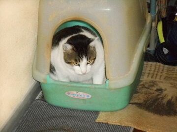 9月20日（62）仮