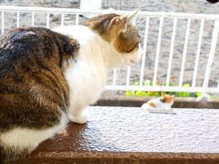 5月12日（10）仮