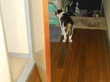 9月20日（60）仮