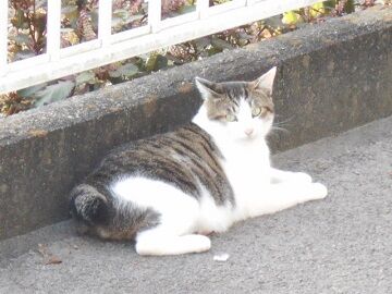 9月30日（41）仮