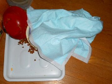 11月14日（2）仮