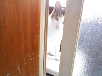 6月15日（23）仮