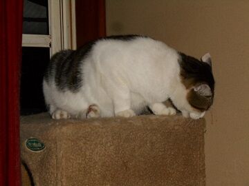 9月27日（19-12）仮