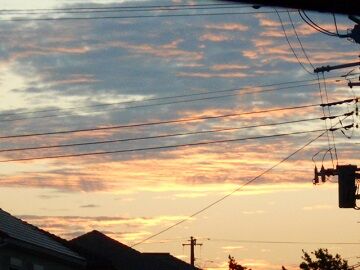 9月30日（13）仮