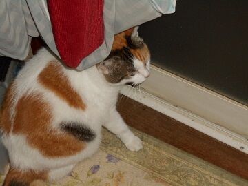 9月30日（20-4）仮