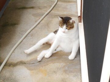 10月20日（30）仮