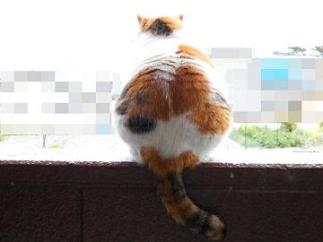 4月20日(2)仮