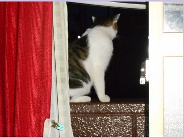 9月29日（10）仮