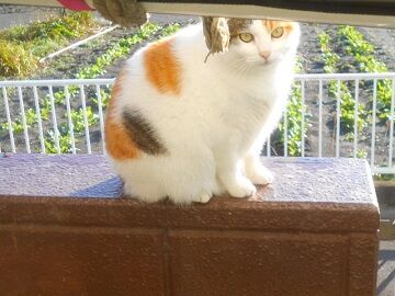 11月30日（21）仮