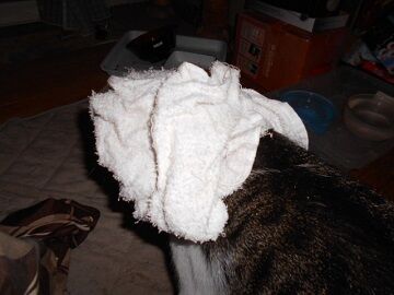 10月7日（21-2）仮