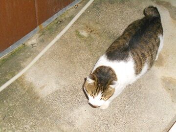 2月16日（12）仮