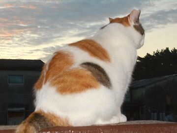 9月30日（16）仮