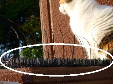 5月15日(6)仮 - コピー