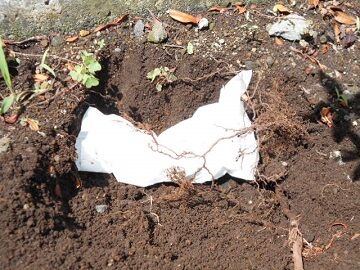 6月23日（26）仮