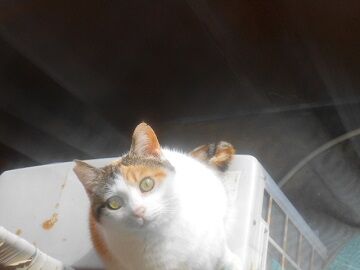 12月24日（23）仮