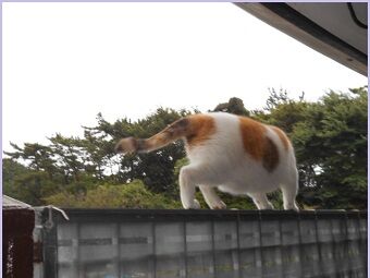 7月22日（25）仮