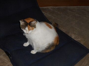 9月30日（23-5）仮