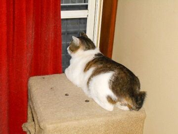 5月28日（37）仮