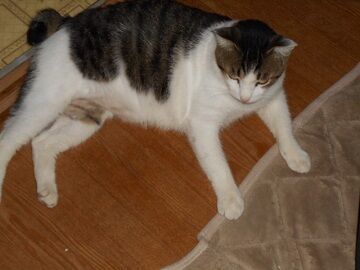 8月16日（21）仮