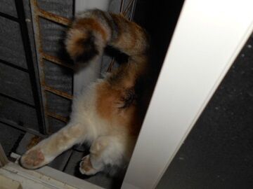 10月1日（18-4）仮