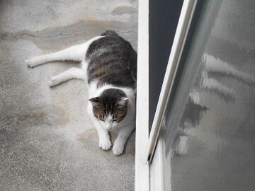 9月25日（11-2）仮