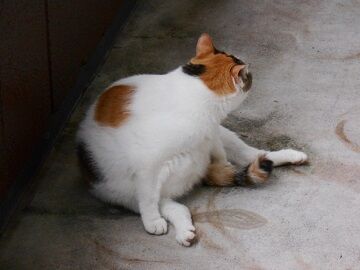 9月22日（12-2）仮