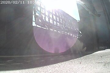 2月11日（29）仮