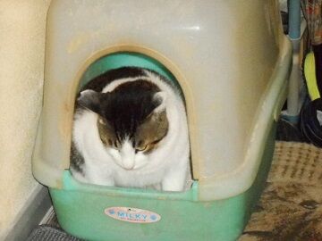 9月20日（64）仮