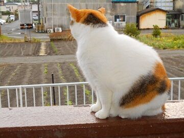 10月20日（27）仮