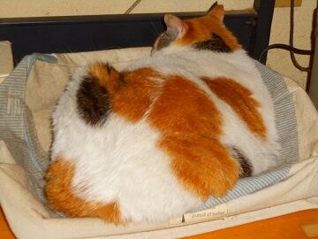 5月18日（111）仮