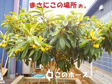 ショックやわぁ～・・・。 (1)