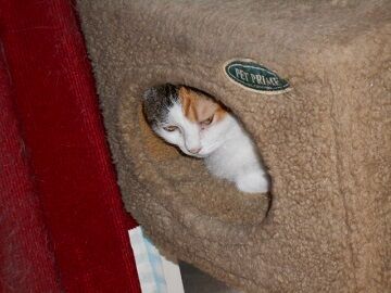 9月23日（9-2）仮