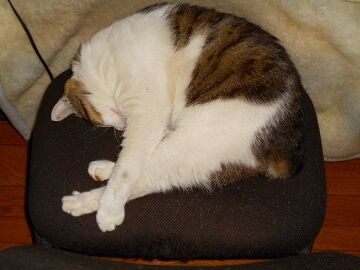 5月22日（44）仮