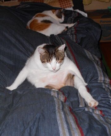 10月7日（23-22）仮