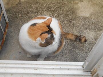 9月30日（7-6）仮