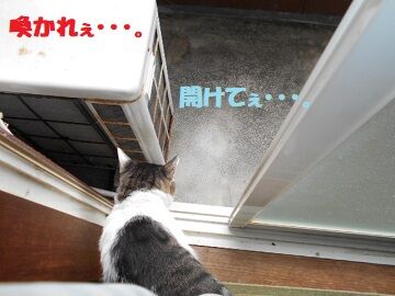 9月16日（10-12）仮