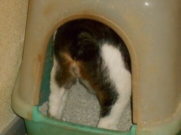 7月30日（23）仮