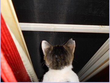 6月26日（23）仮