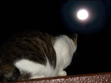 10月1日（18-18）