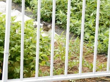 8月28日（99）仮