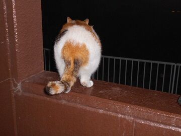 10月4日（22-13）