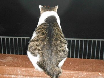 9月8日（23-2）仮