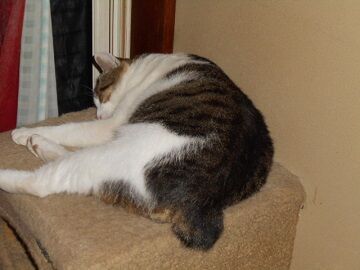 9月14日（21-2）仮