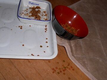 10月6日（20-3）仮