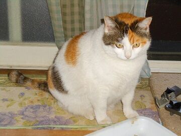 5月10日（47）仮