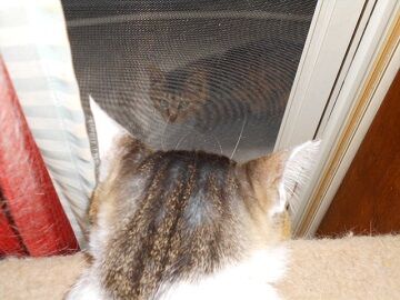 6月12日（28）仮