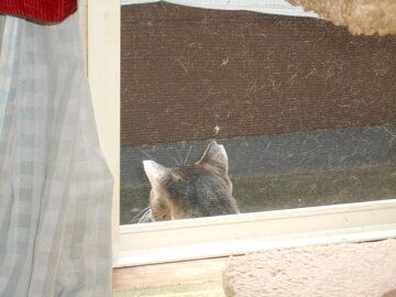 9月13日（59）仮