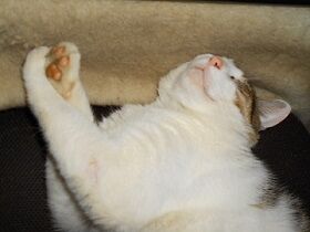 5月29日（31）仮