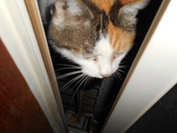 9月9日（20-1）仮