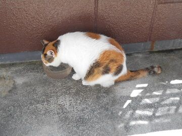 9月9日（10-3）仮